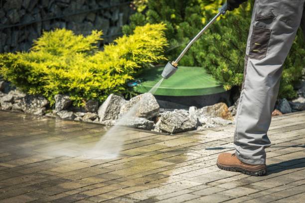 Best Rust Removal  in Catlin, IL